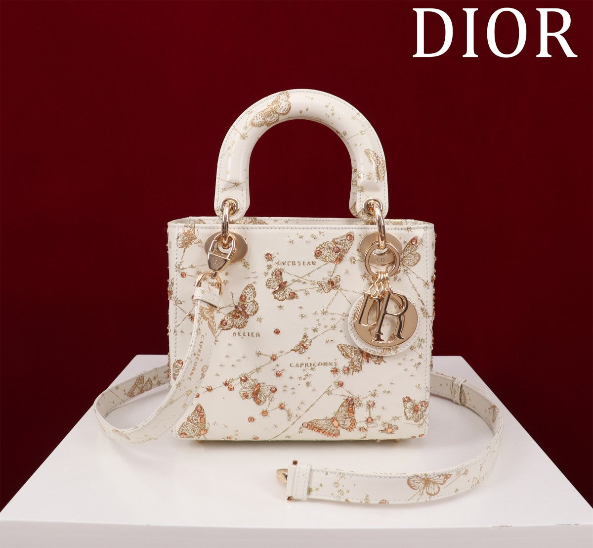 ＤＩＯ MINI LADY D*OR BAG