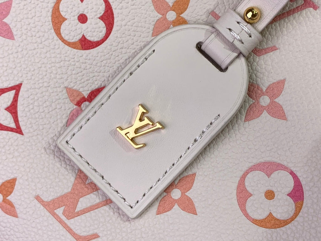ＬＳ ＶＴＴＯＮ CARRYALL PM