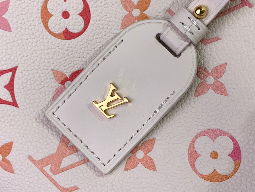 ＬＳ ＶＴＴＯＮ CARRYALL PM