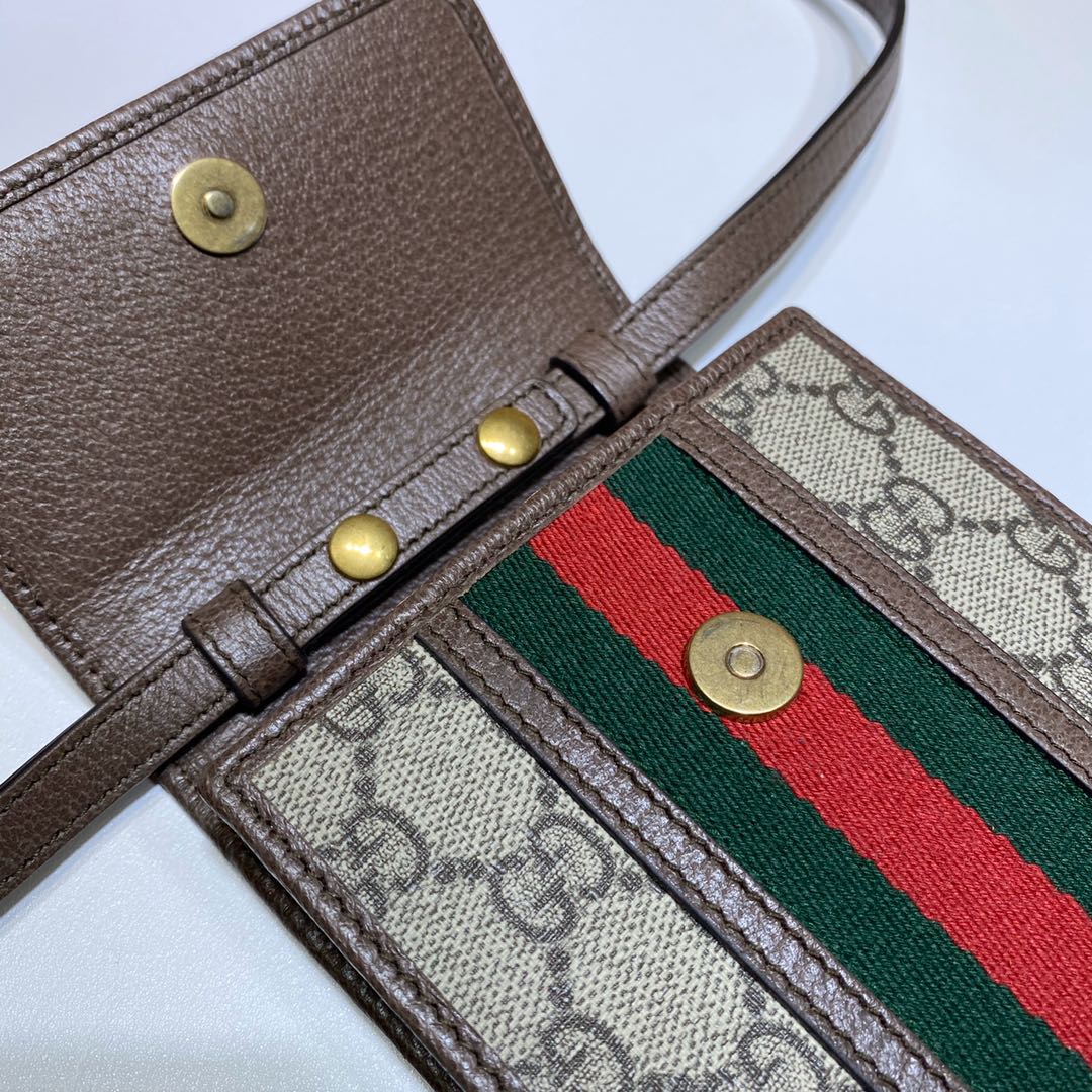 ＧＣＣＩOPHIDIA MINI BAG